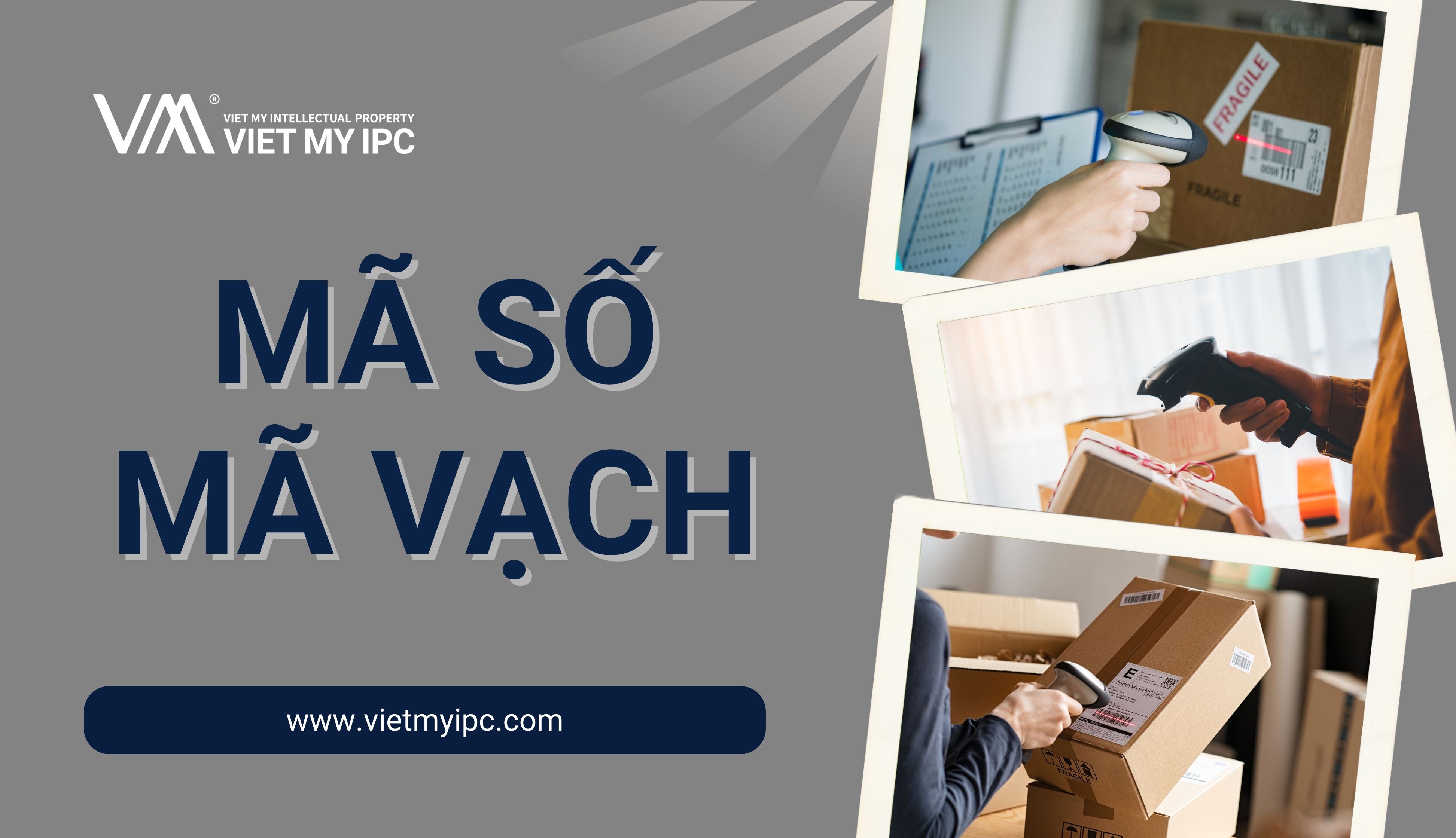 Mã số - Mã vạch là gì?